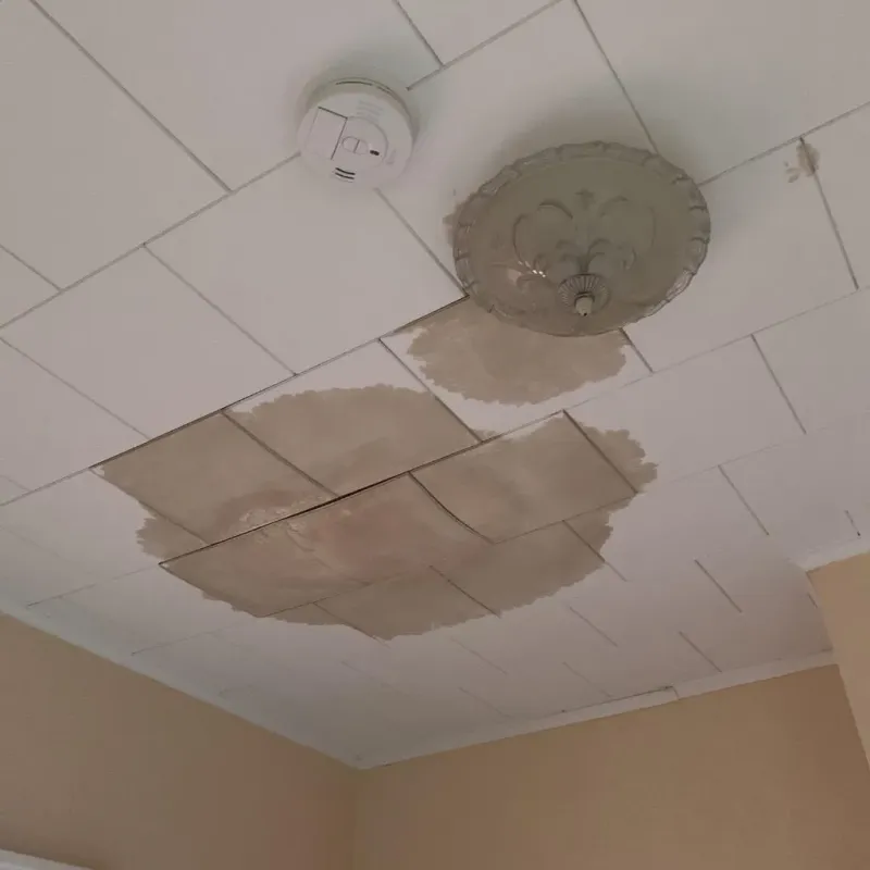 Ceiling Water Damage Repair in Norfolk, NY
