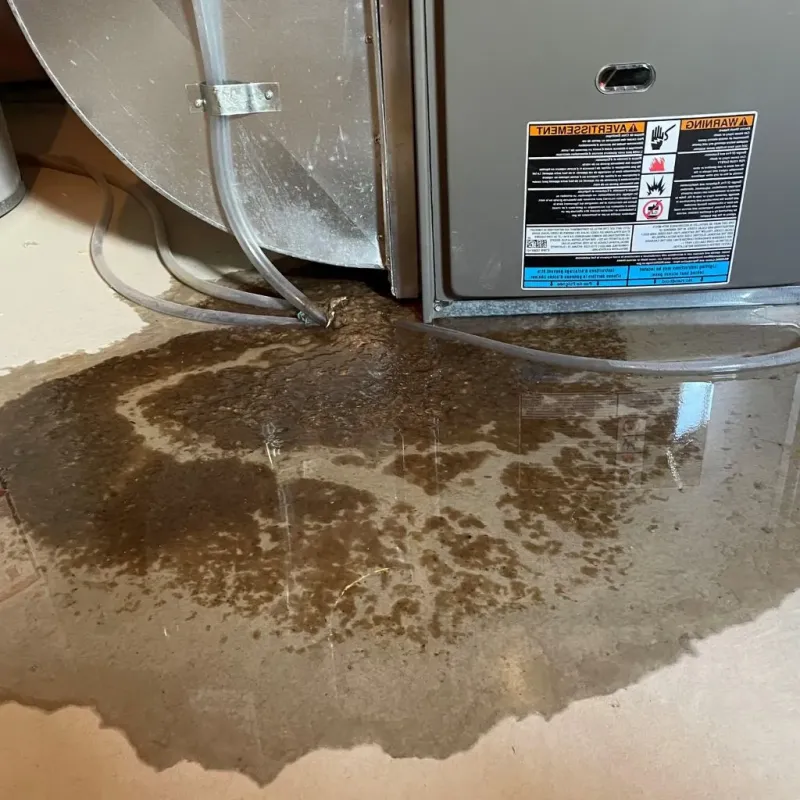 Pipe Burst and Leak Restoration in Norfolk, NY
